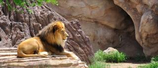 Budapest HOFER REISEN