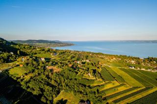 Plattensee, Ungarn | HOFER REISEN