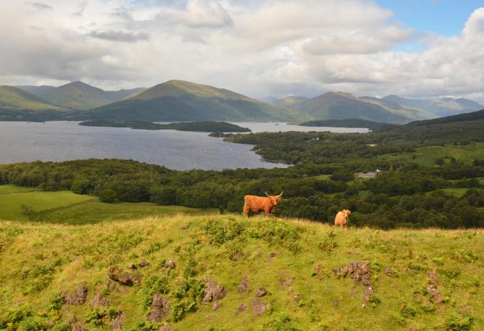 Loch Lomond