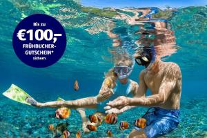 Sommerurlaub | HOFER REISEN