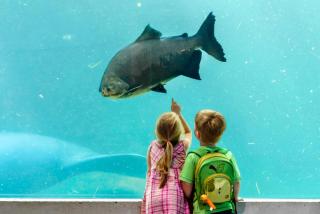 Tiergarten Nürnberg HOFER REISEN