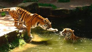 Tiergarten Nürnberg HOFER REISEN