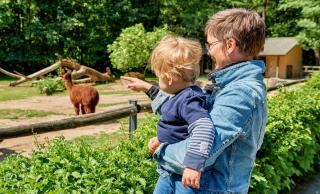 Tiergarten Nürnberg HOFER REISEN