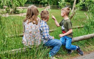 Tiergarten Nürnberg HOFER REISEN