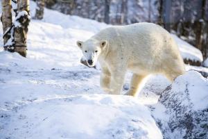 Tierpark Hellabrunn HOFER REISEN