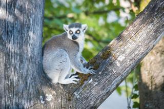 © Tierpark Hellabrunn / Daniela Hierl Tierpark Hellabrunn HOFER REISEN