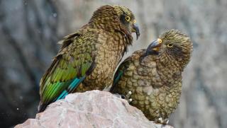 Zoo Salzburg Australien-Bereich HOFER REISEN