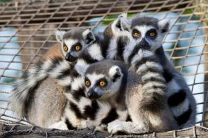 Zoo Salzburg