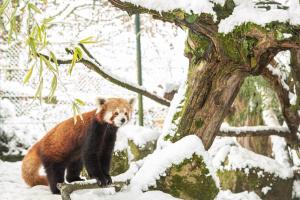 Zoo Linz HOFER REISEN