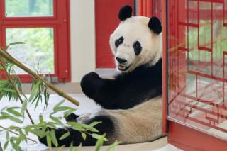 Tiergarten Schönbrunn HOFER REISEN