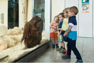 Tiergarten Schönbrunn HOFER REISEN