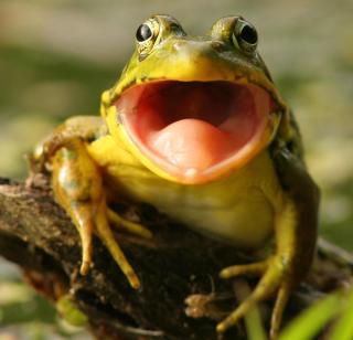 Alpenzoo Innsbruck HOFER REISEN