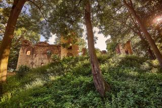 Affenberg Landskron HOFER REISEN