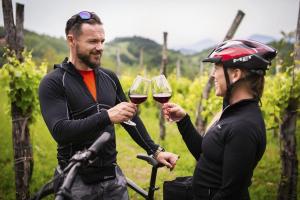 Von den slowenischen Alpen an die Adria - Radtour