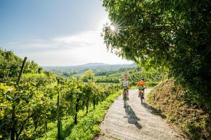 Genuss im Collio - von Udine nach Triest - Radtour