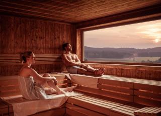 Die besten Hotels für Hundeliebhaber HOFER REISEN