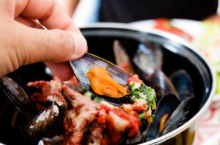 Muscheln HOFER REISEN