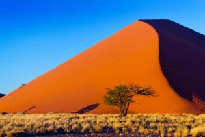 Namibia - Rundreise & Safari