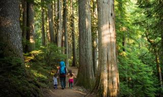 Familienwanderung HOFER REISEN