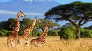 Urlaub in Afrika | HOFER REISEN