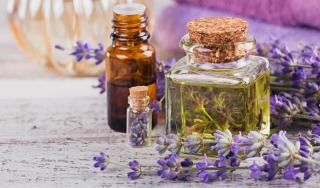 Immer der Nase nach | HOFER REISEN 