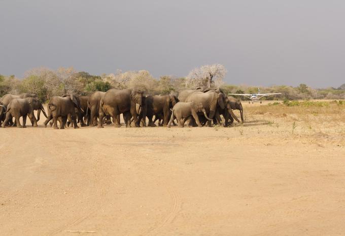 Sansibar - Safari & Baden