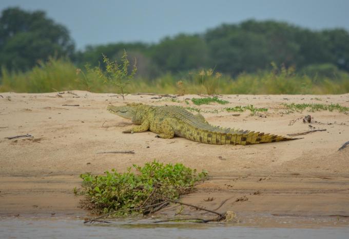 Sansibar - Safari & Baden