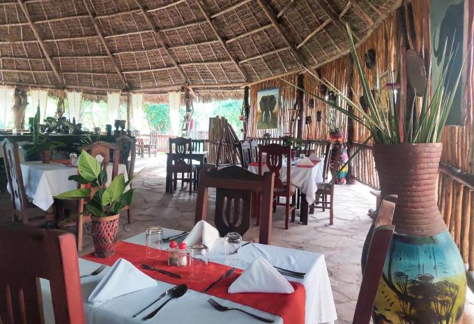 Africa Safari Selous