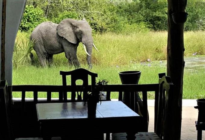 Africa Safari Selous