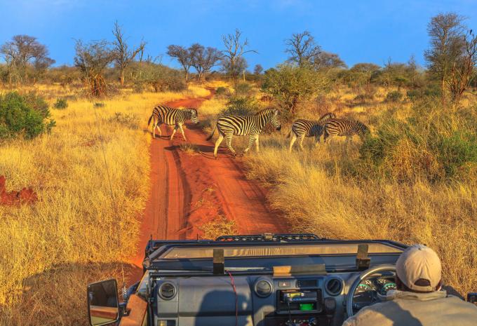 Sansibar - Safari & Baden