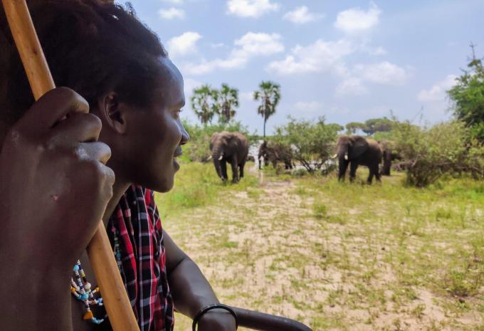 Sansibar - Safari & Baden