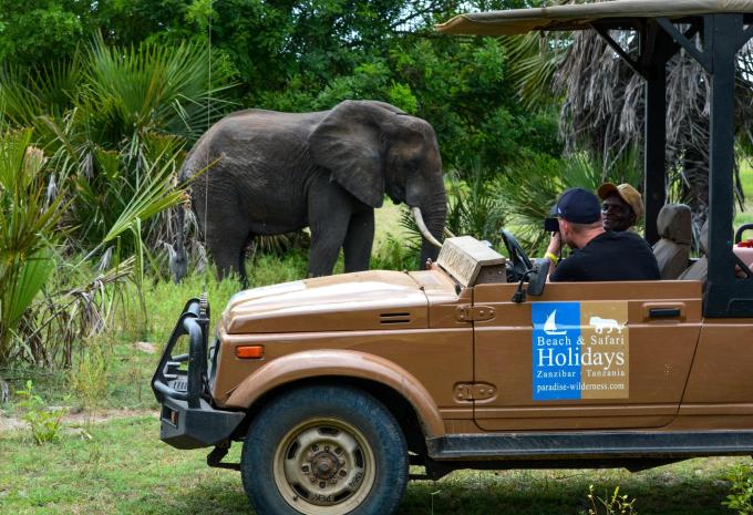 Sansibar - Safari & Baden