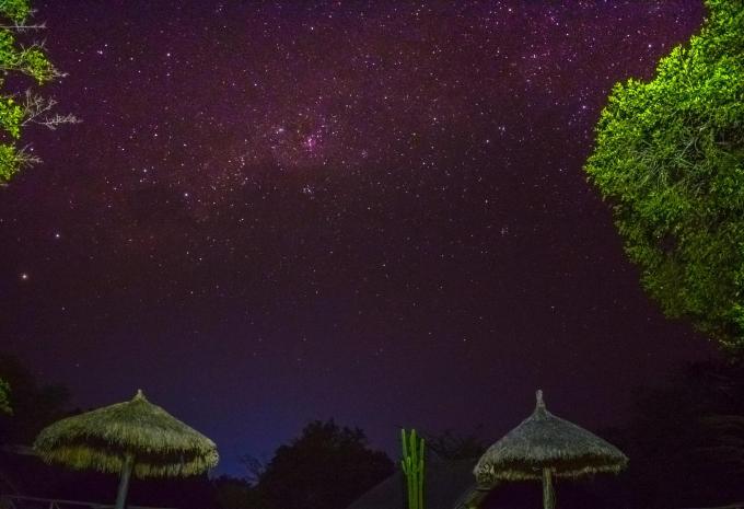 Sansibar - Safari & Baden