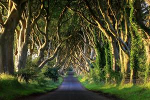 Auf den Spuren von Game of Thrones - Rundreise