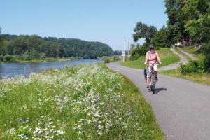 Elberadweg - Radtour