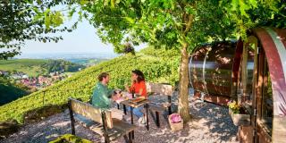 Übernachten in Weinfässern | HOFER REISEN