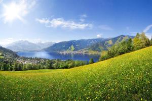 Zell am See