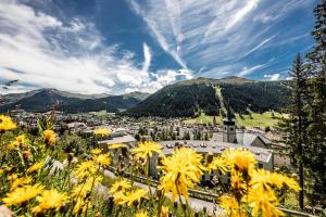 Davos