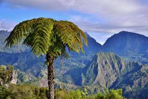La Réunion - Fly, Drive & Sleep
