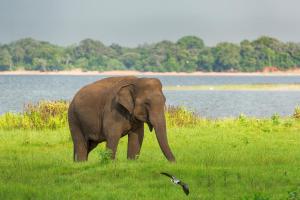 Sri Lanka - Rundreise & Baden