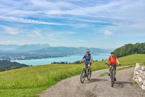 Kultur und Natur am Bodensee inklusive Rheinfall - Radtour