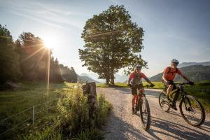 Dachsteinrunde Genießertour - Mountainbike-Tour