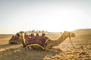 Vereinigte Arabische Emirate