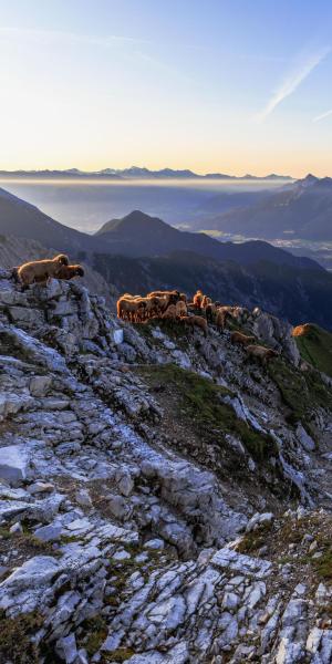 Die schönsten Naturparks Österreichs