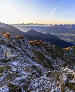 Die schönsten Naturparks Österreichs