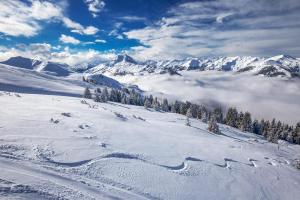 Last Minute-Urlaub in Österreich | HOFER REISEN