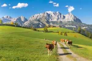 Last Minute-Urlaub in Österreich | HOFER REISEN