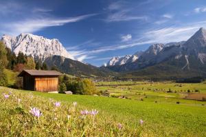 Last-Minute-Urlaub in Österreich | HOFER REISEN
