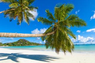 Afrikanische Inseln | HOFER REISEN