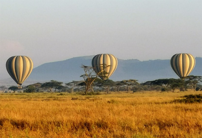 Kenia - Safari & Baden